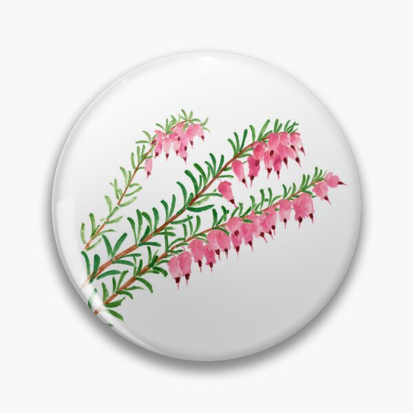 Item preview, August 5th birthday flower Erica carnea designed and sold by 366birthflower.