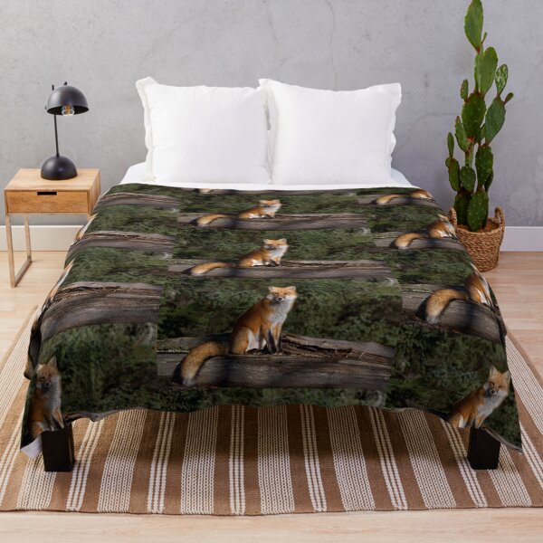 Item preview, Red Fox - Algonquin Park, Canada designed and sold by James Cumming.