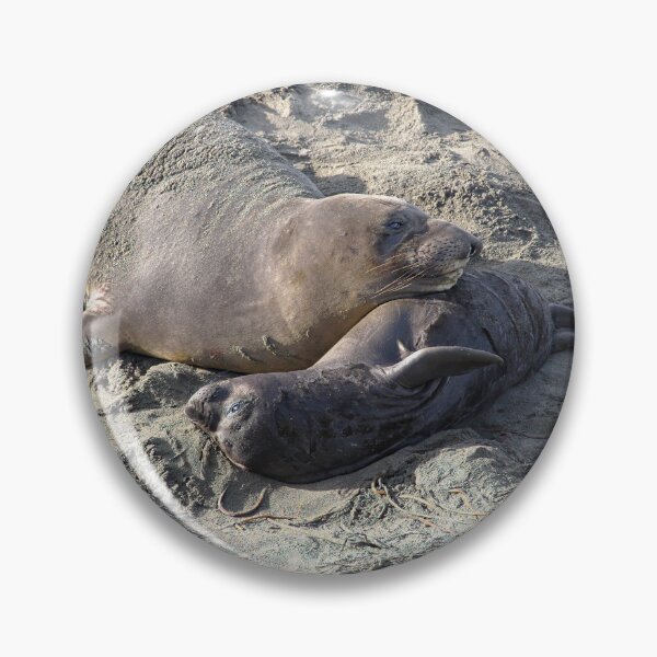 Item preview, Young Elephant Seal Pup with Mom designed and sold by CarolM.