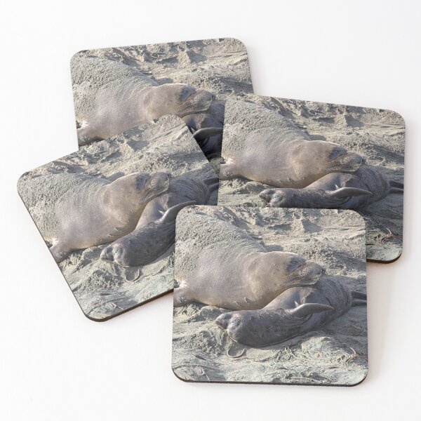 Item preview, Young Elephant Seal Pup with Mom designed and sold by CarolM.