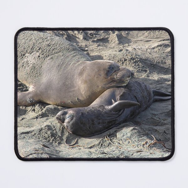 Item preview, Young Elephant Seal Pup with Mom designed and sold by CarolM.
