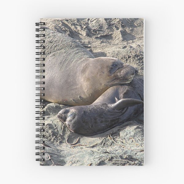 Item preview, Young Elephant Seal Pup with Mom designed and sold by CarolM.