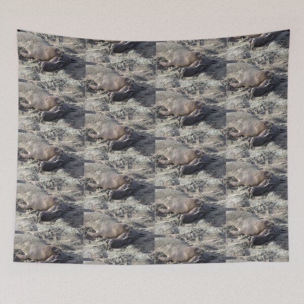 Item preview, Young Elephant Seal Pup with Mom designed and sold by CarolM.