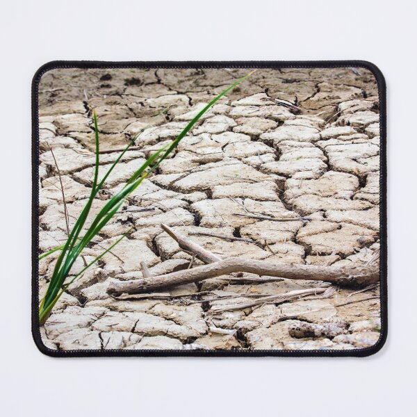 Item preview, Life Finds A Way designed and sold by CarolM.