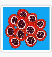 Pomegranates Sticker