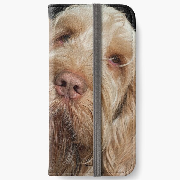 Head tilt Spinone iPhone Wallet