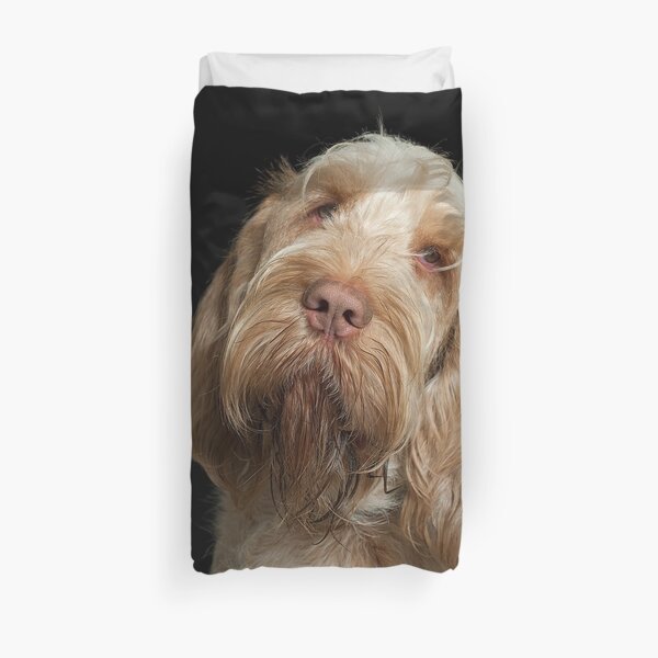 Head tilt Spinone Duvet Cover