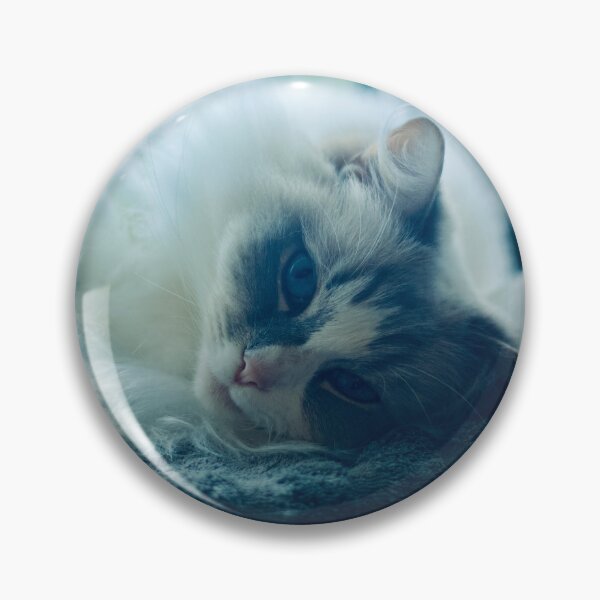 Item preview, How Much is that Ragdoll in the Window? designed and sold by DenaHaines.