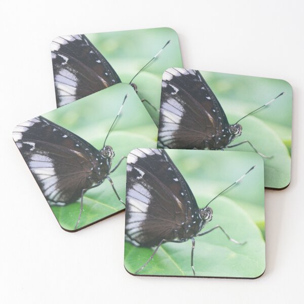 Item preview, Common Eggfly_02 designed and sold by ROSE ANN BANILAR.