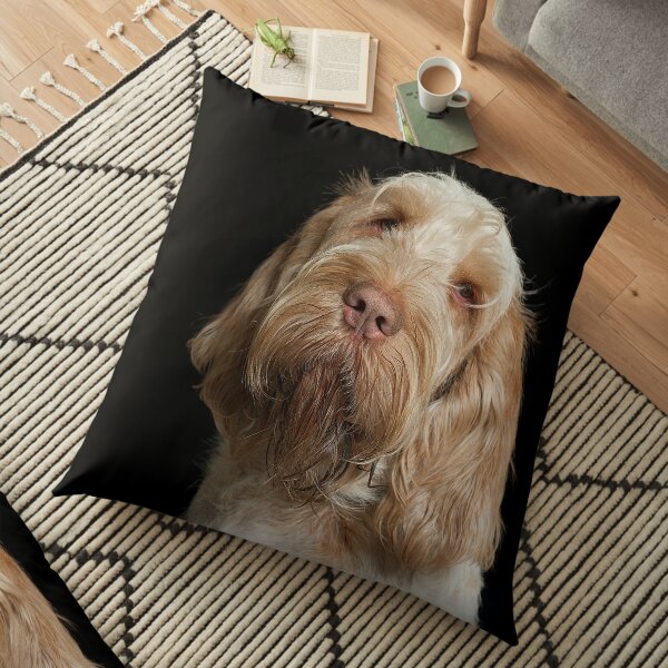 Head tilt Spinone Floor Pillow