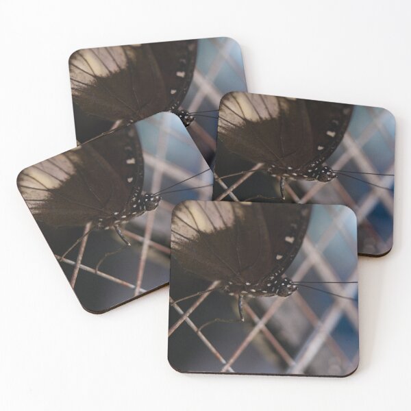 Item preview, Common Eggfly_03 designed and sold by ROSE ANN BANILAR.