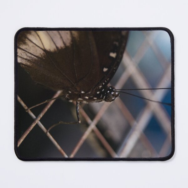 Item preview, Common Eggfly_03 designed and sold by ROSE ANN BANILAR.