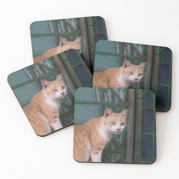 Item preview, Orange Cat_02 designed and sold by ROSE ANN BANILAR.