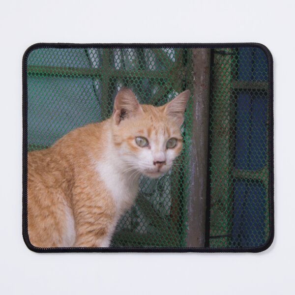 Item preview, Orange Cat_02 designed and sold by ROSE ANN BANILAR.