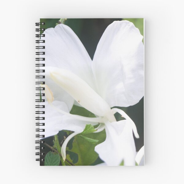 Item preview, White Ginger Lily designed and sold by ROSE ANN BANILAR.
