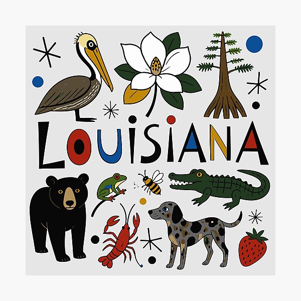 Item preview, Louisianan Critters and Wildlife designed and sold by taiche.
