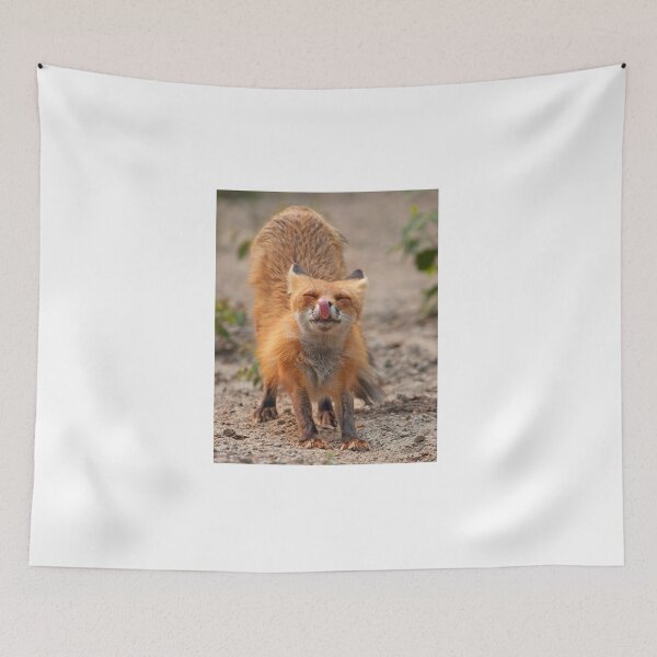 Item preview, Red Fox Stretch - Algonquin Park, Canada designed and sold by James Cumming.