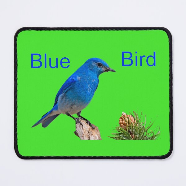 Item preview, Songs Of The Blue Birds designed and sold by bluebells2642.