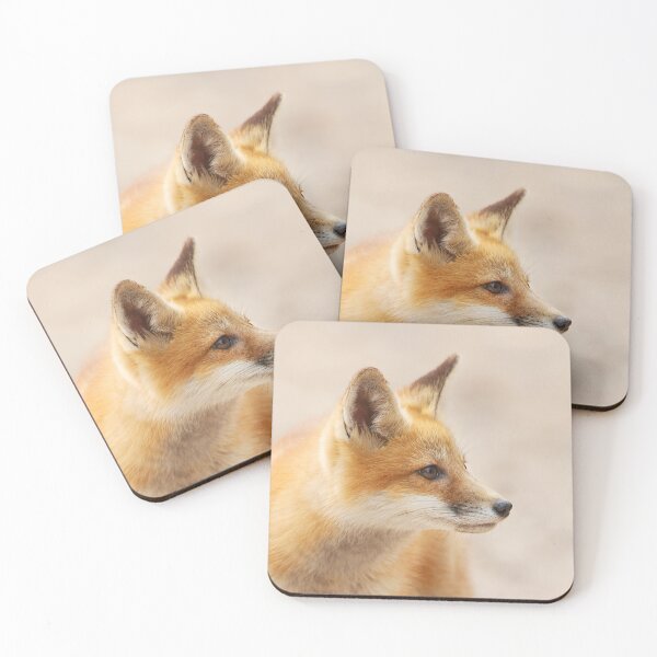 Item preview, Red Fox kit - Algonquin Park, Canada designed and sold by James Cumming.