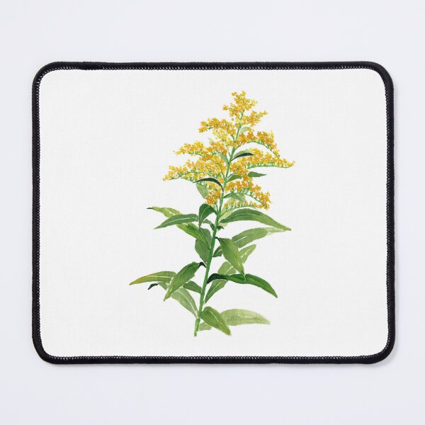Item preview, August 13th birthday flower Goldenrod designed and sold by 366birthflower.