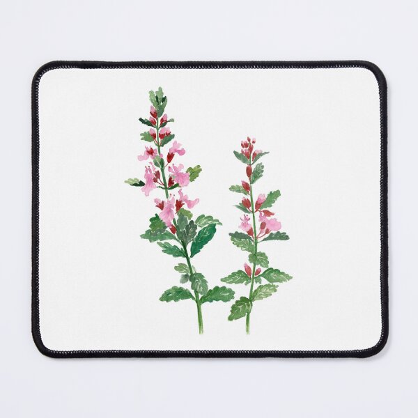 Item preview, August 14th birthday flower Wall Germander designed and sold by 366birthflower.