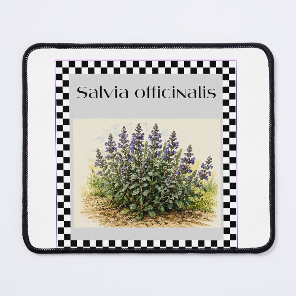 Item preview, Salvia officinalis: Common sage, a PanaluPrint designed and sold by PanaluPrint .