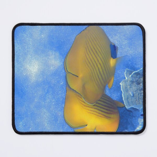 Item preview, The Masked Butterflyfish Blue Theme designed and sold by JonnaHurmerinta.