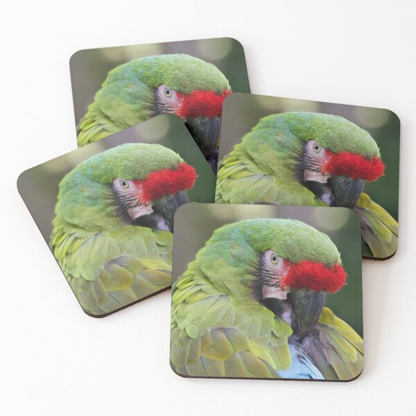 Item preview, close up military macaw designed and sold by alan tunnicliffe.