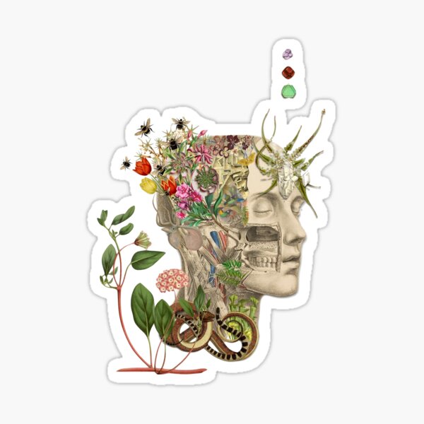 Item preview, ♡ floral anatomy ♡ designed and sold by rose---tea.