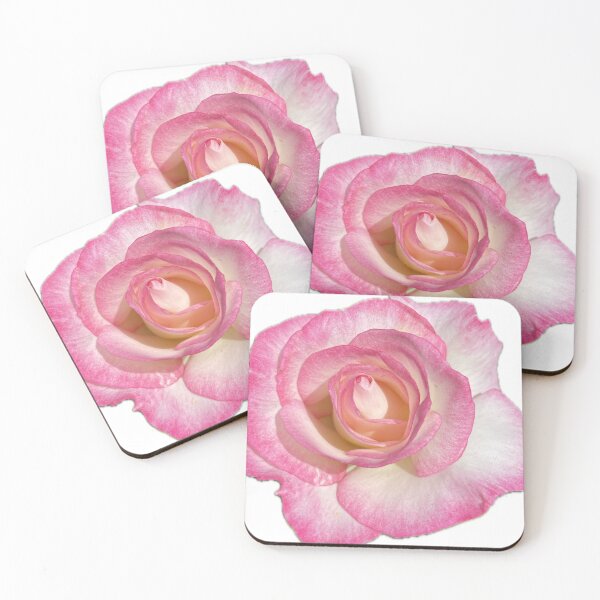 Item preview, Pink white rose designed and sold by mm6lpt.