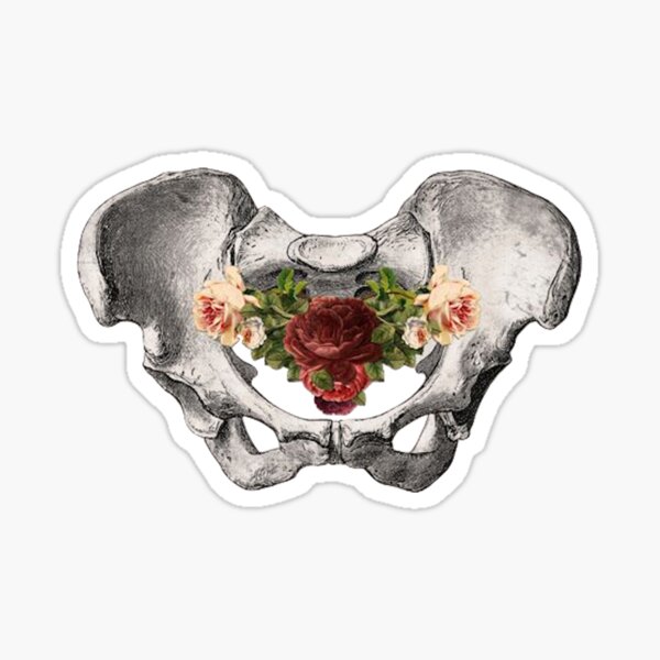 Item preview, ♡ pelvic floor ♡ designed and sold by rose---tea.