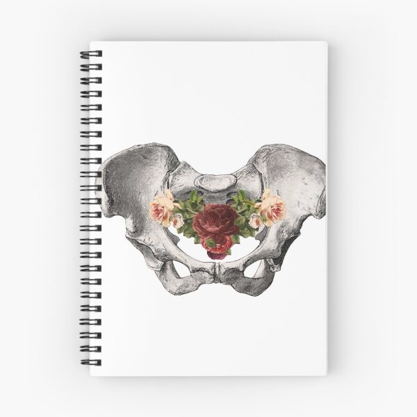 Item preview, ♡ pelvic floor ♡ designed and sold by rose---tea.