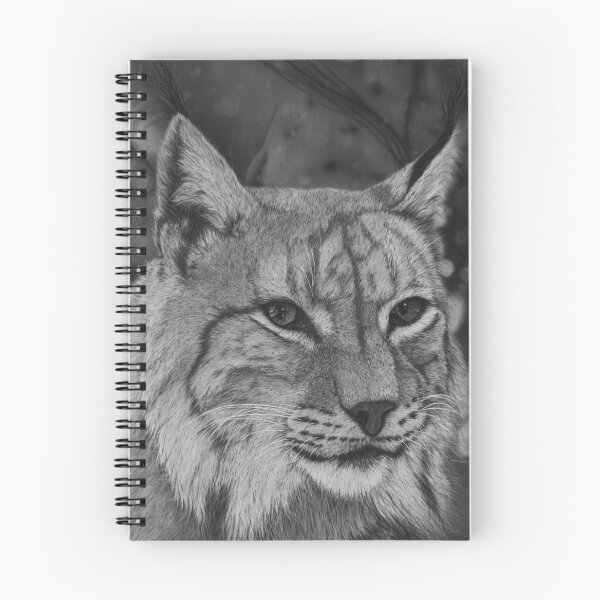 Item preview, Iberian Lynx — Hyperrealistic Charcoal Drawing on Paper designed and sold by David Mateo ArtWorks.