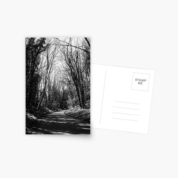 Track (B/W) Postcard