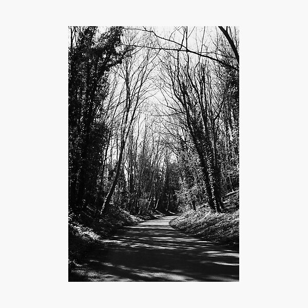 Track (B/W) Photographic Print
