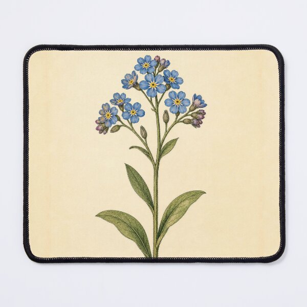 Item preview, Forget-Me-Not Vintage Botanical Flower Print designed and sold by NuvoraNest.