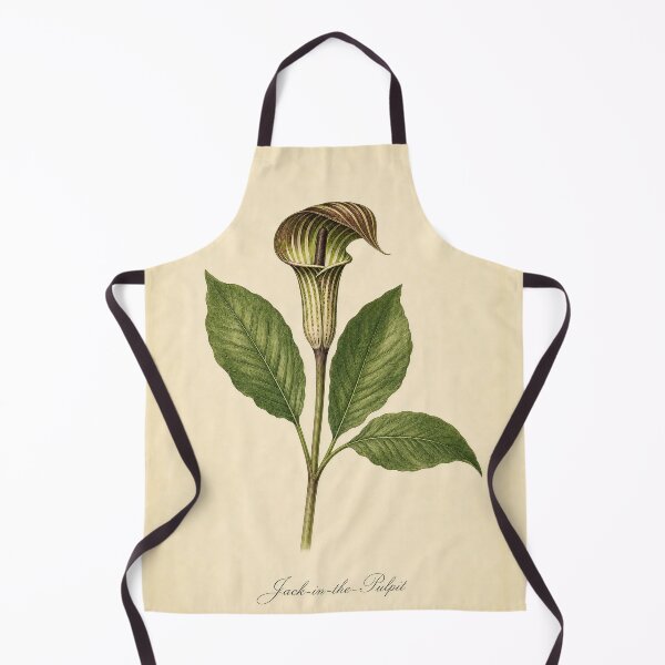 Item preview, Vintage Jack-in-the-Pulpit Botanical Illustration designed and sold by NuvoraNest.