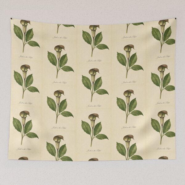 Item preview, Vintage Jack-in-the-Pulpit Botanical Illustration designed and sold by NuvoraNest.