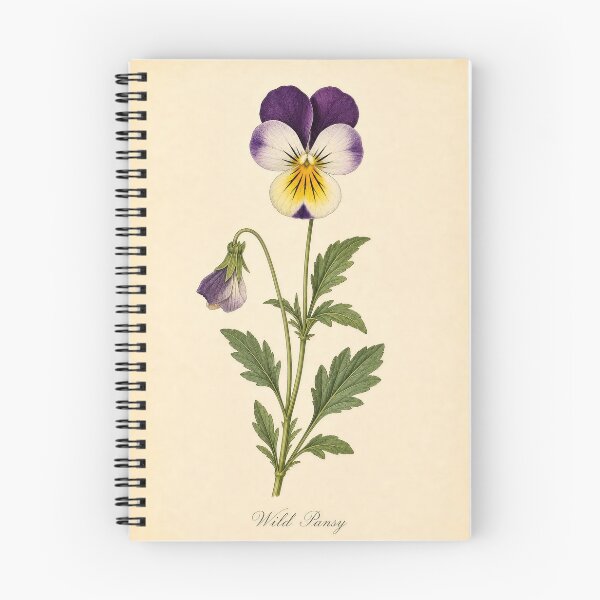 Item preview, Vintage Wild Pansy Botanical Illustration designed and sold by NuvoraNest.