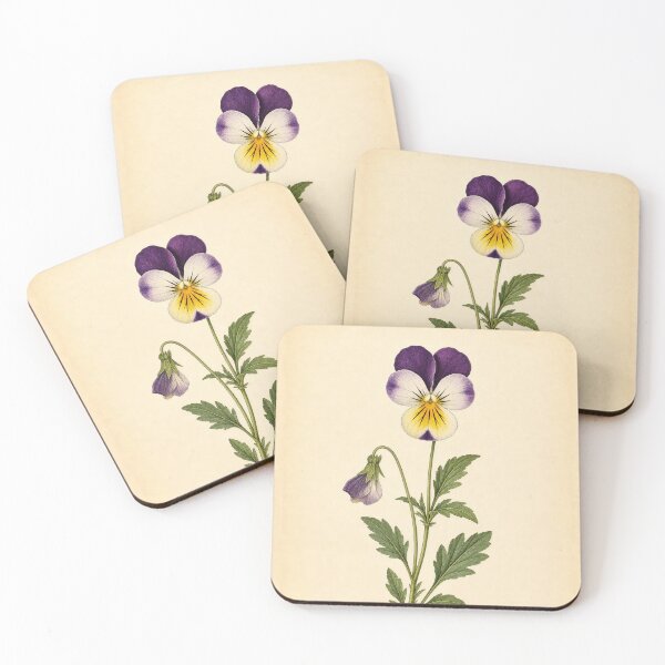 Item preview, Vintage Wild Pansy Botanical Illustration designed and sold by NuvoraNest.