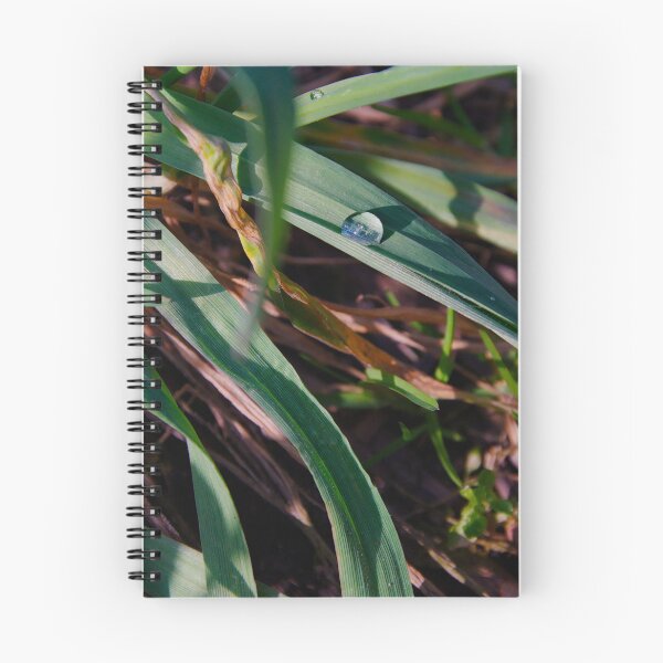 Item preview, Single Dewdrop on Grass designed and sold by ShotsbyDesiree.