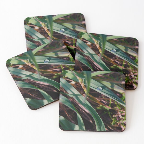 Item preview, Single Dewdrop on Grass designed and sold by ShotsbyDesiree.