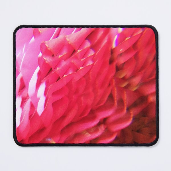Item preview, The Enchanted Rose: Velvet Crimson Citadel and Prismatic Petals designed and sold by ElionSolis.