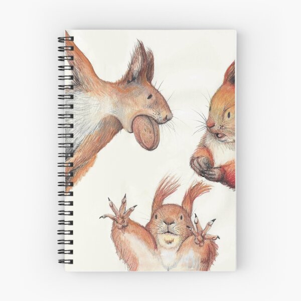 Item preview, Illustration of a red squirrel in various poses designed and sold by Kimberley Cummings Illustration.