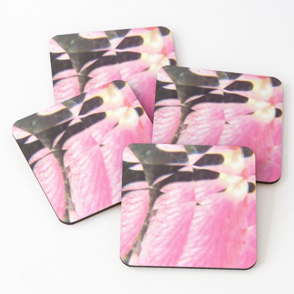 Item preview, Orchid Tenderness: Feathered Drift and Intimate Grace designed and sold by ElionSolis.