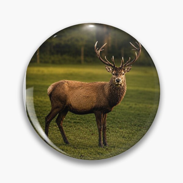 Item preview, Majestic Red Deer/Stag in a Golden Meadow designed and sold by Astute-Artio-Photography.