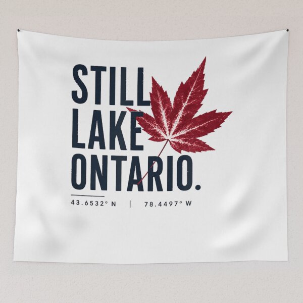 Item preview, Lake Ontario Always and Forever Shirt Anti Trump Shirt Great Lakes Protest Tee Canada Political Shirt Liberal Resistance Gift designed and sold by slmfams.