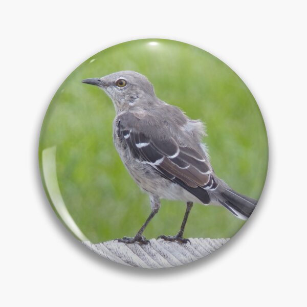 Item preview, Northern Mockingbird designed and sold by SquaresArt.