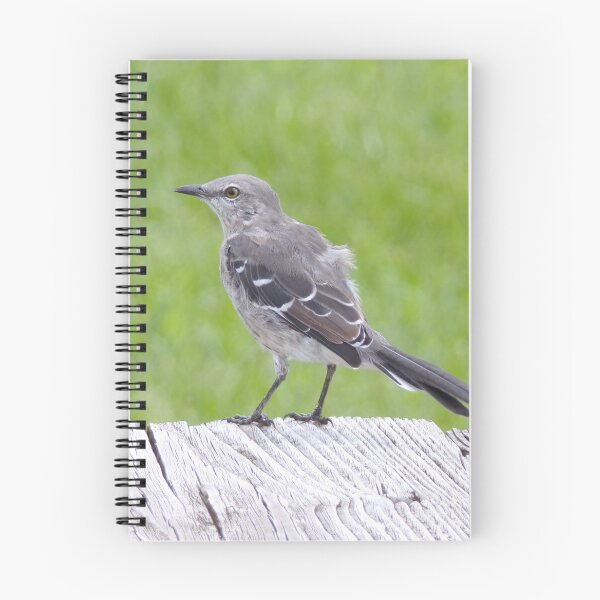 Item preview, Northern Mockingbird designed and sold by SquaresArt.