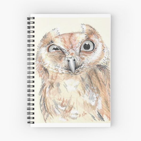 Item preview, suspicious owl designed and sold by Kimberley Cummings Illustration.